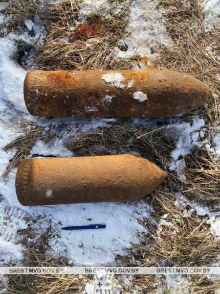 В лесу под Пинском нашли боеприпасы времен Второй мировой войны В лесу под Пинском нашли боеприпасы времен Второй мировой войны