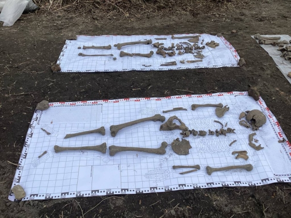 Найдены останки нескольких человек, патроны и монеты - раскопки на валу Брестской крепости Найдены останки нескольких человек, патроны и монеты - раскопки на валу Брестской крепости