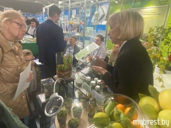 Выставка научно-технических достижений «Беларусь интеллектуальная. Регионы» открылась в Бресте Выставка научно-технических достижений «Беларусь интеллектуальная. Регионы» открылась в Бресте