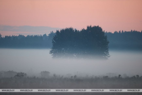 Осеннее утро в Беловежской пуще Осеннее утро в Беловежской пуще