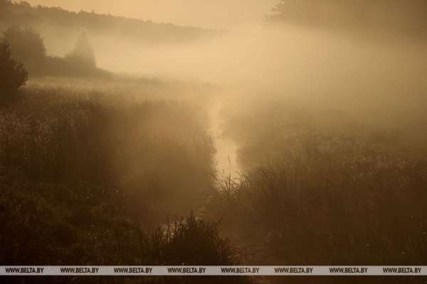 Осеннее утро в Беловежской пуще Осеннее утро в Беловежской пуще