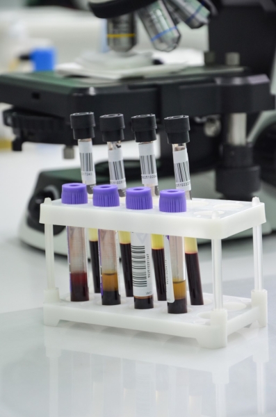 «ГОД СЕМЬИ» в ЛОДЭ. Обследования всей семьей в медцентре стали еще более доступными «ГОД СЕМЬИ» в ЛОДЭ. Обследования всей семьей в медцентре стали еще более доступными