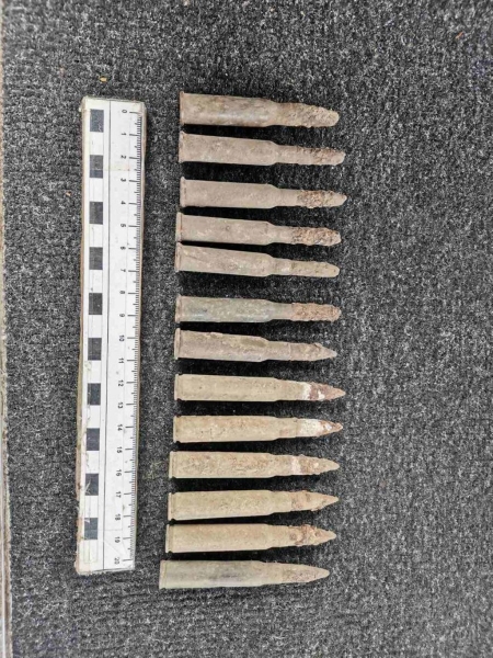 Найдены останки нескольких человек, патроны и монеты - раскопки на валу Брестской крепости Найдены останки нескольких человек, патроны и монеты - раскопки на валу Брестской крепости