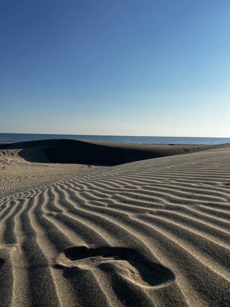 В Турцию через Европу на автомобиле. Белорусы о затратах на топливо и нюансах поездки В Турцию через Европу на автомобиле. Белорусы о затратах на топливо и нюансах поездки
