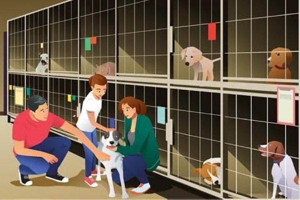 УТИБОЗЕМОЙ, какая лапочка! 23 марта отмечается день щенка УТИБОЗЕМОЙ, какая лапочка! 23 марта отмечается день щенка