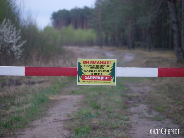 Минлесхоз будет уведомлять белорусов через СМС о запретах на посещение лесов Минлесхоз будет уведомлять белорусов через СМС о запретах на посещение лесов