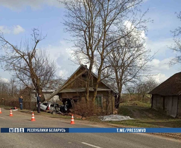 Страшное ДТП произошло в Беларуси: двое пассажиров погибли Страшное ДТП произошло в Беларуси: двое пассажиров погибли