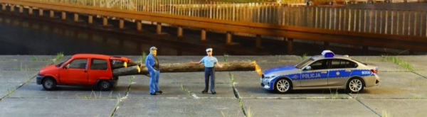 Поляки смеются над водителем Fiat, который превратил малютку в лесовоз и получает за это штрафы Поляки смеются над водителем Fiat, который превратил малютку в лесовоз и получает за это штрафы