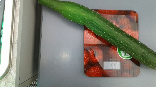 Помидор весом в килограмм! И это не предел − белорусы хвастаются гигантскими дарами лета Помидор весом в килограмм! И это не предел − белорусы хвастаются гигантскими дарами лета