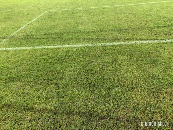 Футбольное поле с искусственным газоном в сентябре появится в Каменце Футбольное поле с искусственным газоном в сентябре появится в Каменце