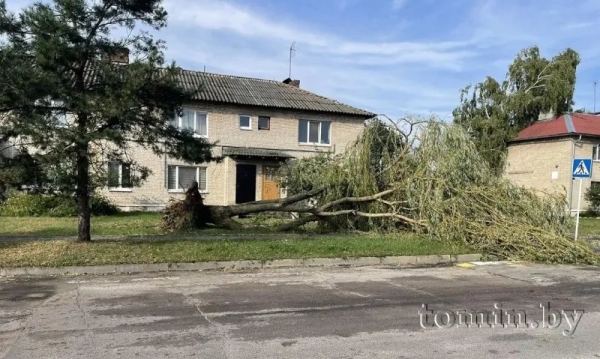 В Брестском районе гроза обесточила 14 населенных пунктов, с трех домов сорвало крыши В Брестском районе гроза обесточила 14 населенных пунктов, с трех домов сорвало крыши
