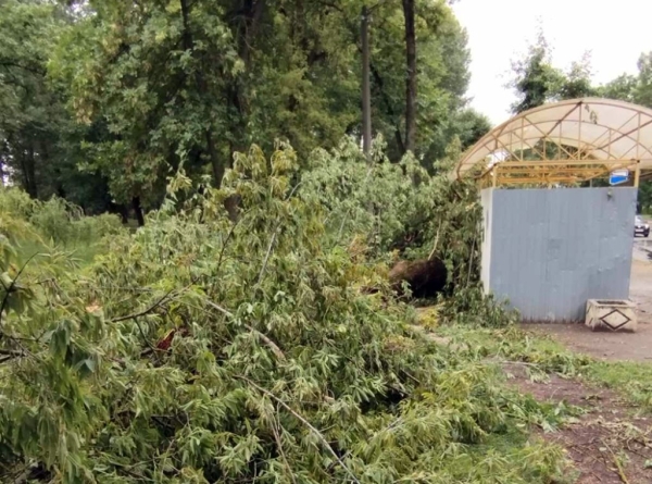 Ураганный ветер, бушевавший в Пинске, наворотил дел Ураганный ветер, бушевавший в Пинске, наворотил дел