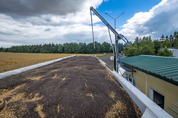 От семян до бутылки. Посмотрели, как на Брестчине делают масло из рапса От семян до бутылки. Посмотрели, как на Брестчине делают масло из рапса