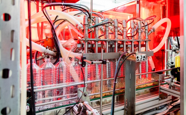 От семян до бутылки. Посмотрели, как на Брестчине делают масло из рапса От семян до бутылки. Посмотрели, как на Брестчине делают масло из рапса