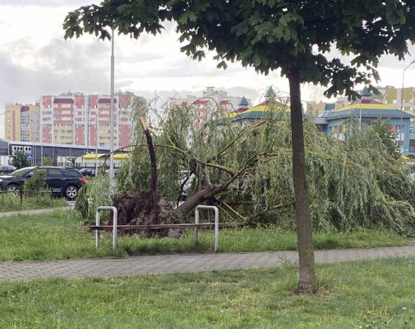 Ураганный ветер, бушевавший в Пинске, наворотил дел Ураганный ветер, бушевавший в Пинске, наворотил дел