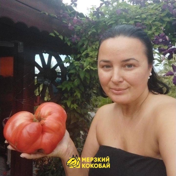 Помидор весом в килограмм! И это не предел − белорусы хвастаются гигантскими дарами лета Помидор весом в килограмм! И это не предел − белорусы хвастаются гигантскими дарами лета