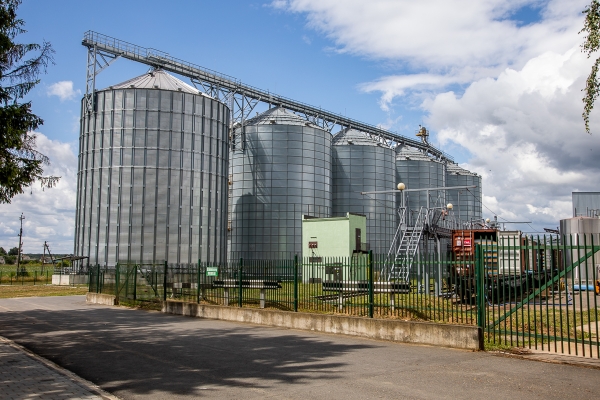 От семян до бутылки. Посмотрели, как на Брестчине делают масло из рапса От семян до бутылки. Посмотрели, как на Брестчине делают масло из рапса