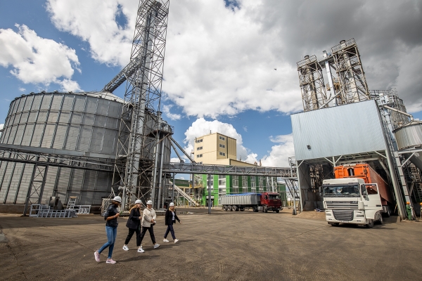 От семян до бутылки. Посмотрели, как на Брестчине делают масло из рапса От семян до бутылки. Посмотрели, как на Брестчине делают масло из рапса