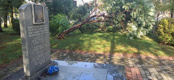 Настоящая стихия прошлась ночью по Бресту Настоящая стихия прошлась ночью по Бресту