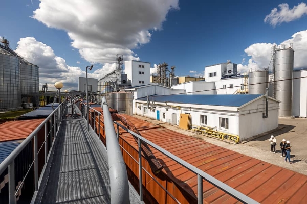 От семян до бутылки. Посмотрели, как на Брестчине делают масло из рапса От семян до бутылки. Посмотрели, как на Брестчине делают масло из рапса