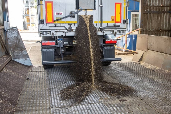 От семян до бутылки. Посмотрели, как на Брестчине делают масло из рапса От семян до бутылки. Посмотрели, как на Брестчине делают масло из рапса