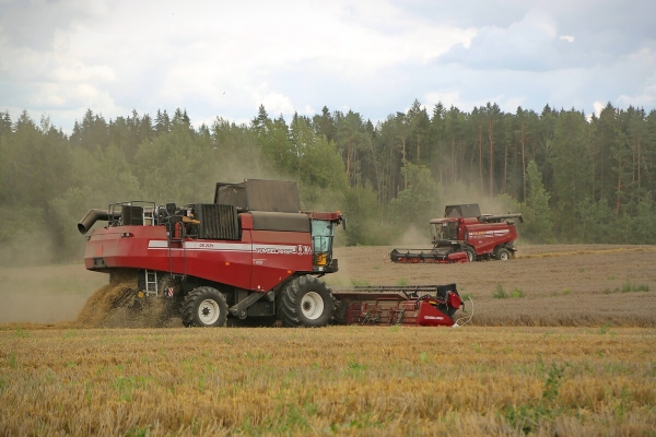 Водитель самого крутого комбайна в Беларуси: «За 1 000 рублей в поле точно бы не работал!» Водитель самого крутого комбайна в Беларуси: «За 1 000 рублей в поле точно бы не работал!»