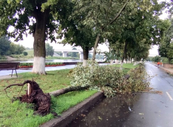Ураганный ветер, бушевавший в Пинске, наворотил дел Ураганный ветер, бушевавший в Пинске, наворотил дел