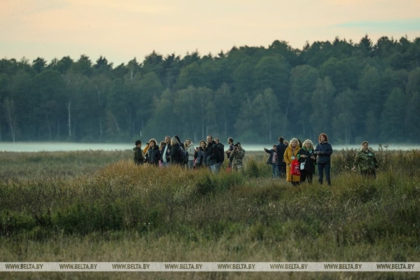 Туристов зовут в Беловежскую пущу послушать чарующие звуки природы Туристов зовут в Беловежскую пущу послушать чарующие звуки природы