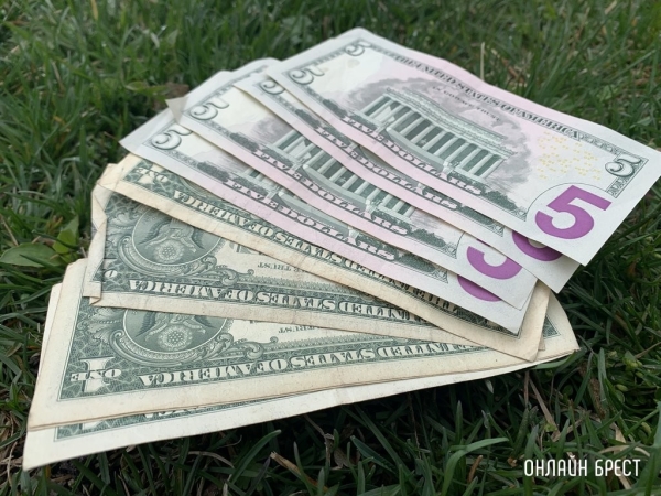 Каким будет курс доллара в 2024 году – прогноз ЕАБР Каким будет курс доллара в 2024 году – прогноз ЕАБР