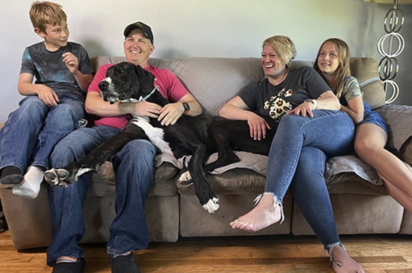 Умер самый крупный пес в мире. Он установил рекорд всего за несколько дней до смерти Умер самый крупный пес в мире. Он установил рекорд всего за несколько дней до смерти