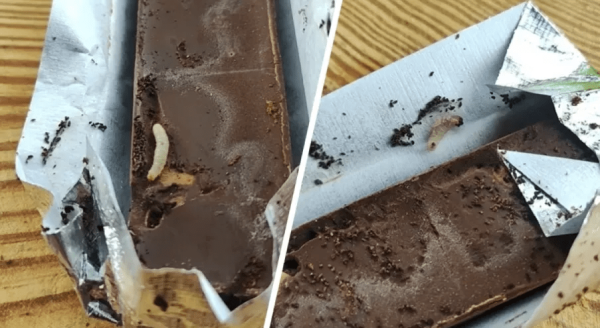 Белорус нашел живых червей в шоколаде «Коммунарка»   Белорус нашел живых червей в шоколаде «Коммунарка»