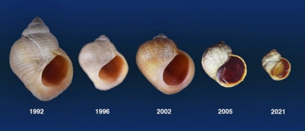 Эволюция в действии: 30-летний эксперимент раскрывает невероятные тайны Эволюция в действии: 30-летний эксперимент раскрывает невероятные тайны