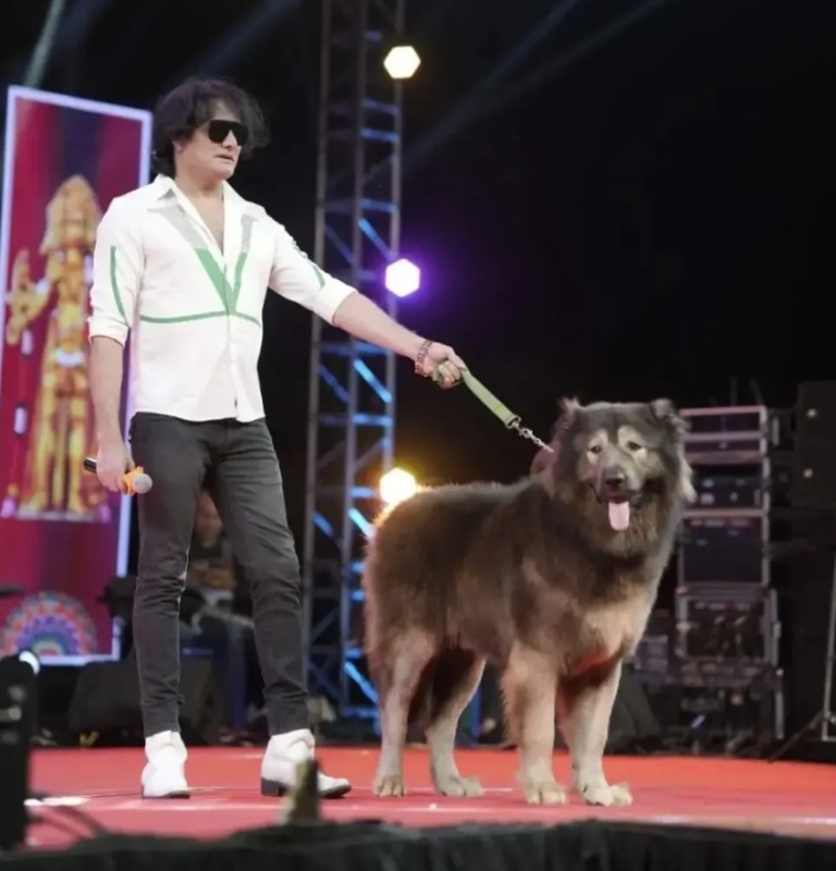 Это самая дорогая собака в мире — ее продали за $5,7 миллиона Это самая дорогая собака в мире — ее продали за $5,7 миллиона