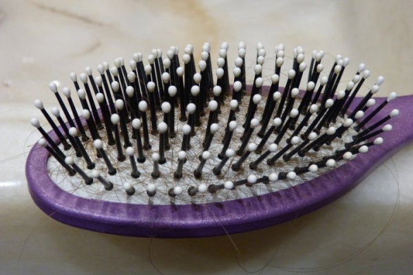 Могут ли волосы выпадать из-за стресса? Ответил эксперт Могут ли волосы выпадать из-за стресса? Ответил эксперт