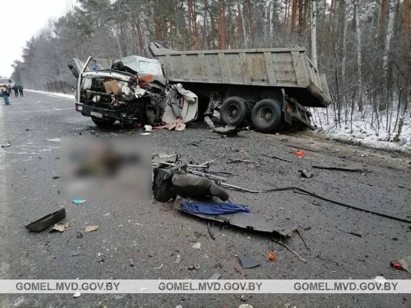 Жена и дочь погибшего водителя отсудили у его работодателя моральный вред. Не согласились с суммой и снова пошли в суд Жена и дочь погибшего водителя отсудили у его работодателя моральный вред. Не согласились с суммой и снова пошли в суд