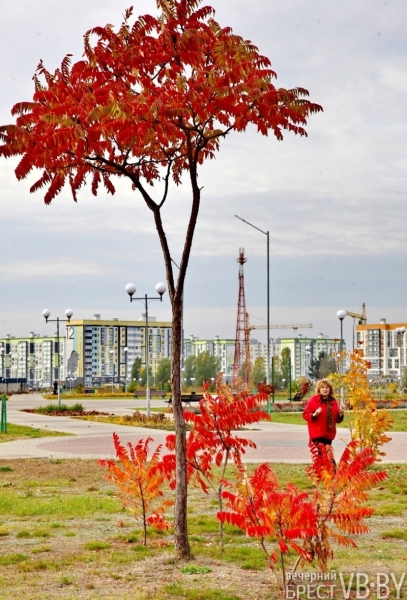 В Бресте парк 1000-летия залит осенними красками. Фоторепортаж В Бресте парк 1000-летия залит осенними красками. Фоторепортаж